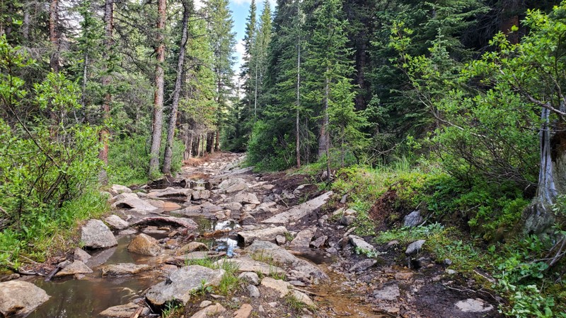 Colorado: Birdseye Gulch Hero Photo