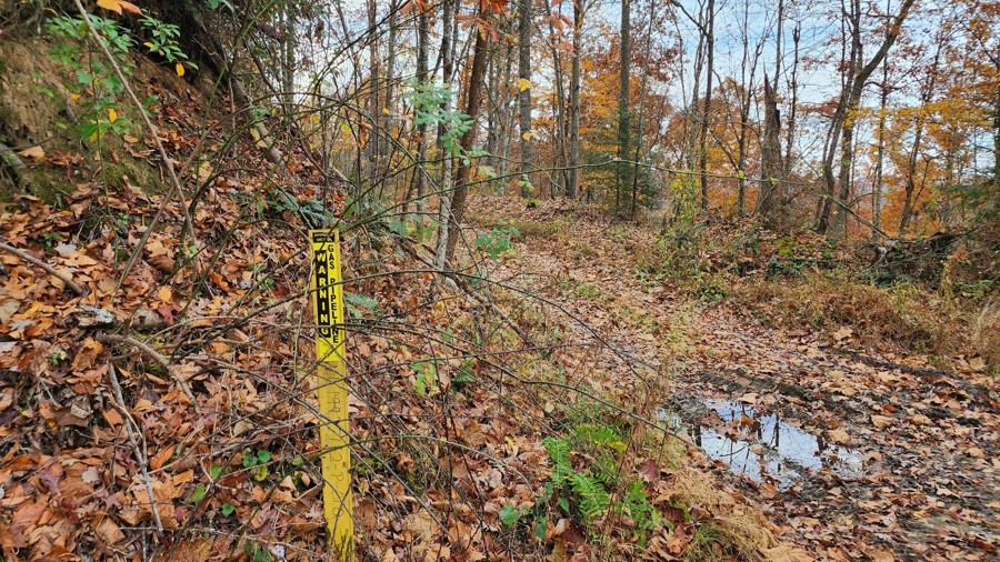 Panther Mountain Road Trail Review Photo
