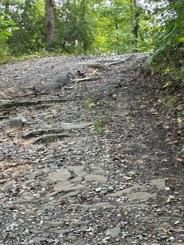 Panther Mountain Road Trail Review Photo