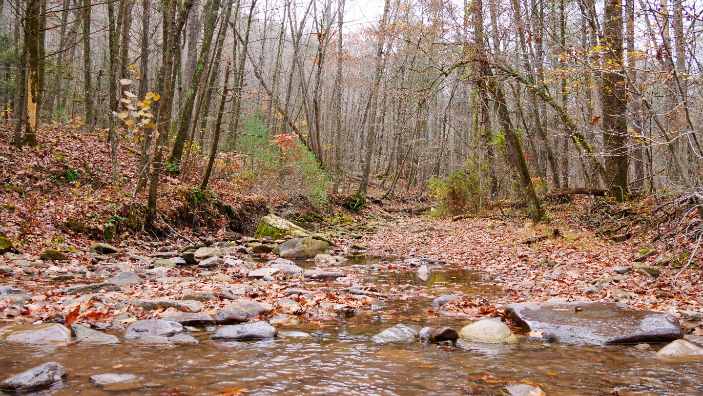 Union Springs Virginia Offroad Trail