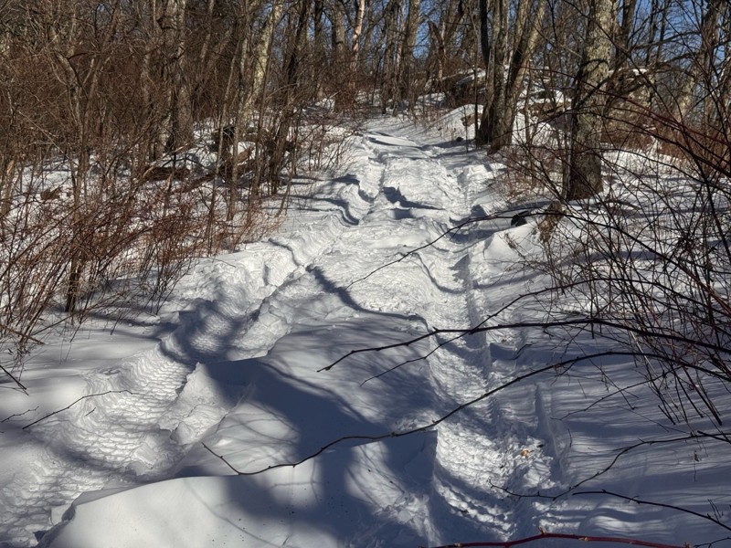 Union Springs Trail Review Photo