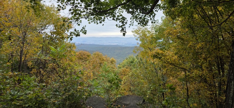 Stone Camp Trail Review Photo