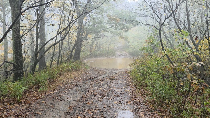 Stone Camp Trail Review Photo
