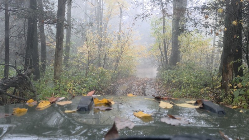 Stone Camp Trail Review Photo