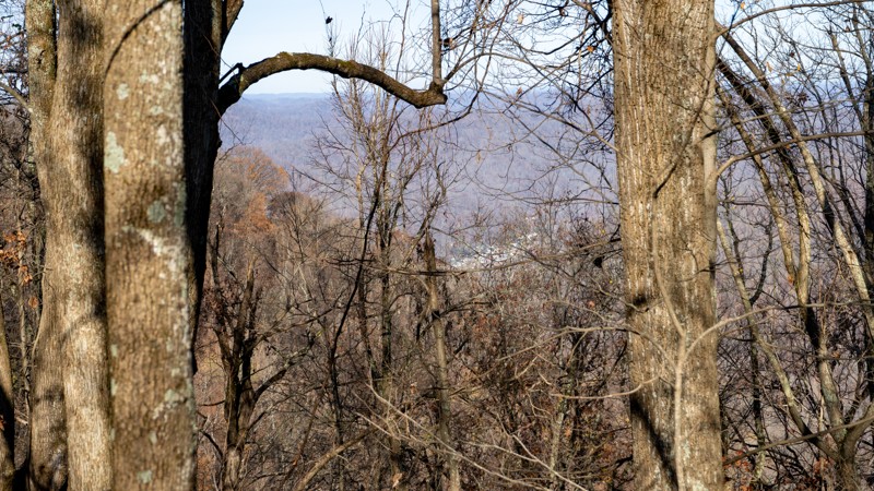 Bearwallow: Outer Green Loop - Waypoint 13: Town View - Continue Straight