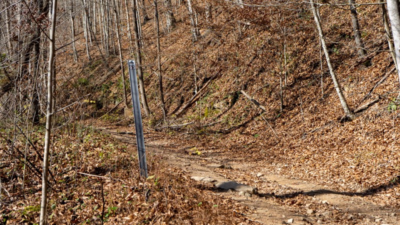 Bearwallow: Outer Green Loop - Waypoint 33: Trail 93 - Continue