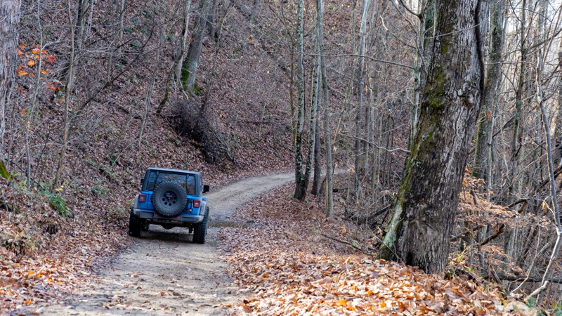 Bearwallow: Outer Green Loop - Waypoint 21: Trail 77 - Continue on the Main Trail