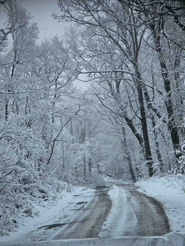 Kistler Memorial Highway (Old NC 105) Trail Review Photo