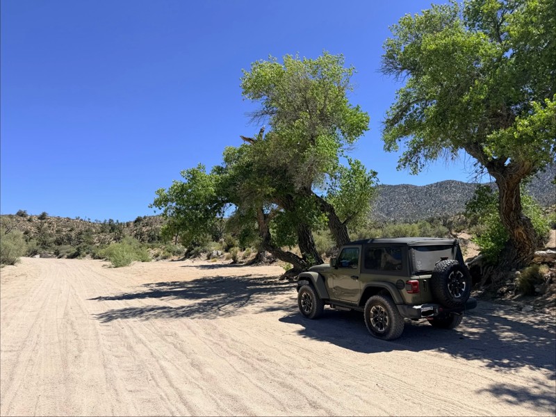 Rattlesnake Canyon Trail Review Photo