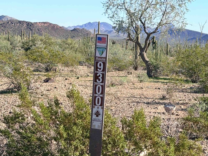 Harquahala Mountain Summit Road Trail Review Photo