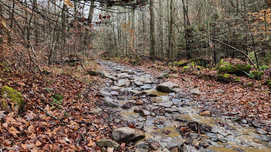 Windrock 26 Trail Review Photo
