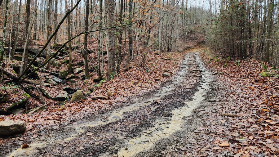 Windrock 26 Trail Review Photo