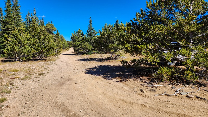 Yankee Hill Summit Climb - Waypoint 3: Short Spur and 175.4a
