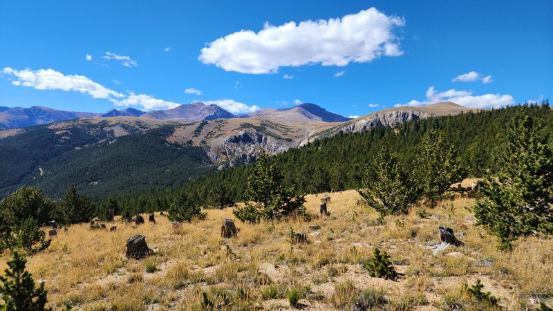 Yankee Hill Summit Climb - Waypoint 5: View