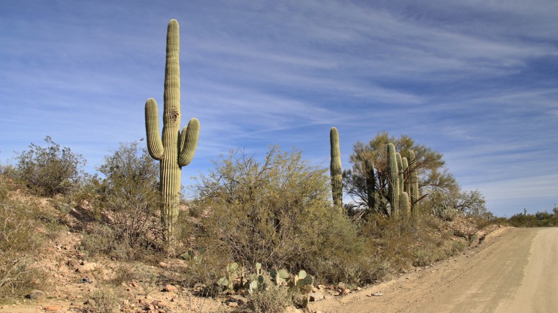 Table Mesa Road - West - Waypoint 10: TMRA 9953 - Continue Straight