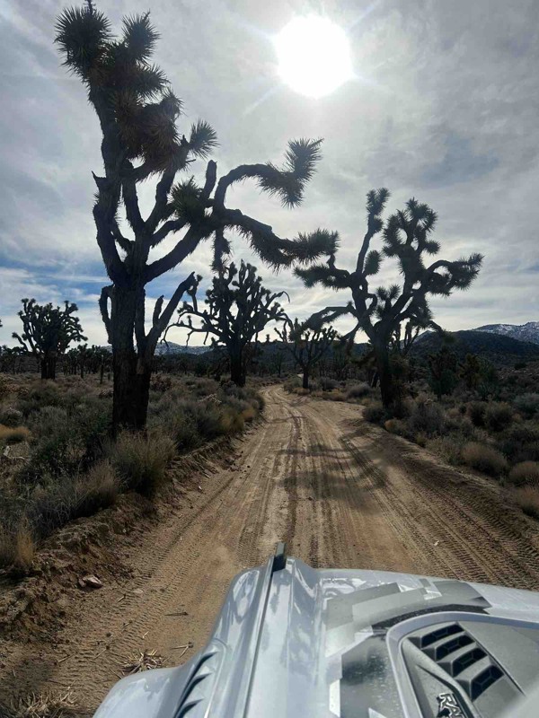 Burns Canyon Trail Review Photo