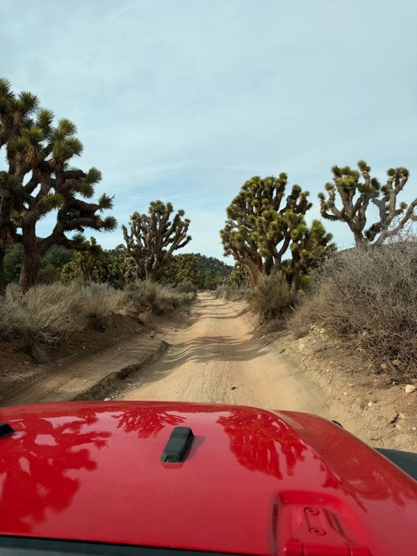 Burns Canyon Trail Review Photo