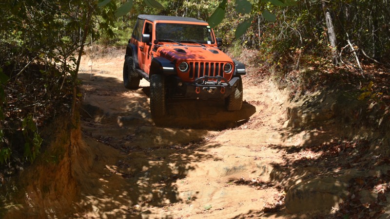 Stony Lonesome 404 Trail Review Photo