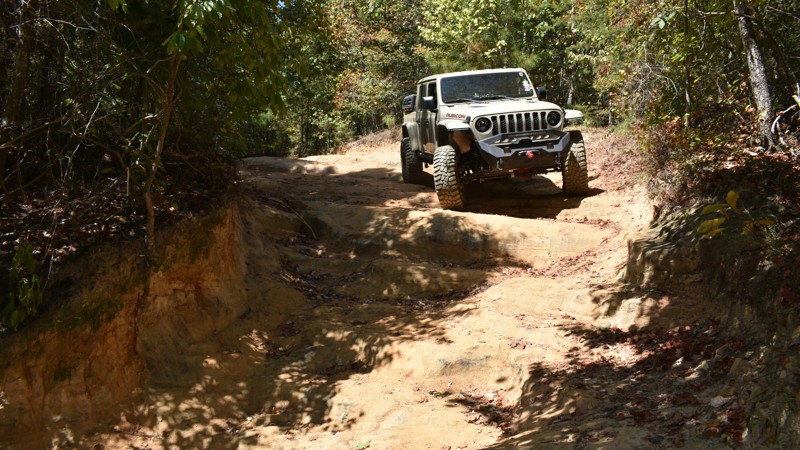 Stony Lonesome 404 Trail Review Photo