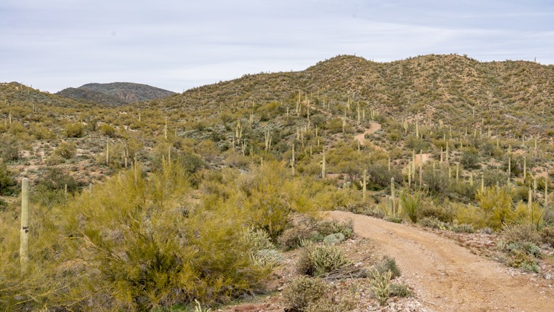 Black Canyon OHV Trail - Waypoint 7: Rocky Hills