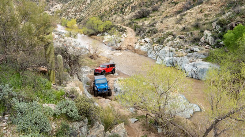 Arizona: Turkey Creek Trail Cleator Hero Photo