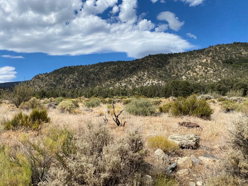 3N03 - Smarts Ranch Trail Review Photo