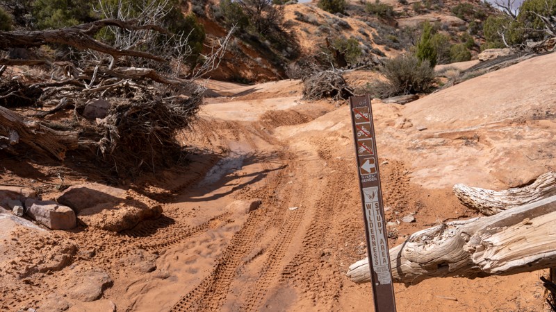 Steel Bender - Waypoint 14: Climb Out Of Ravine