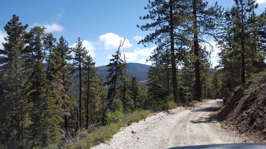 Trail Review: 3N12 - Delamar Mountain Road - Josh Noesser