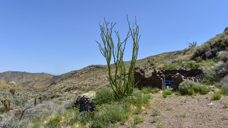 Arizona: Scott’s Well Hero Photo