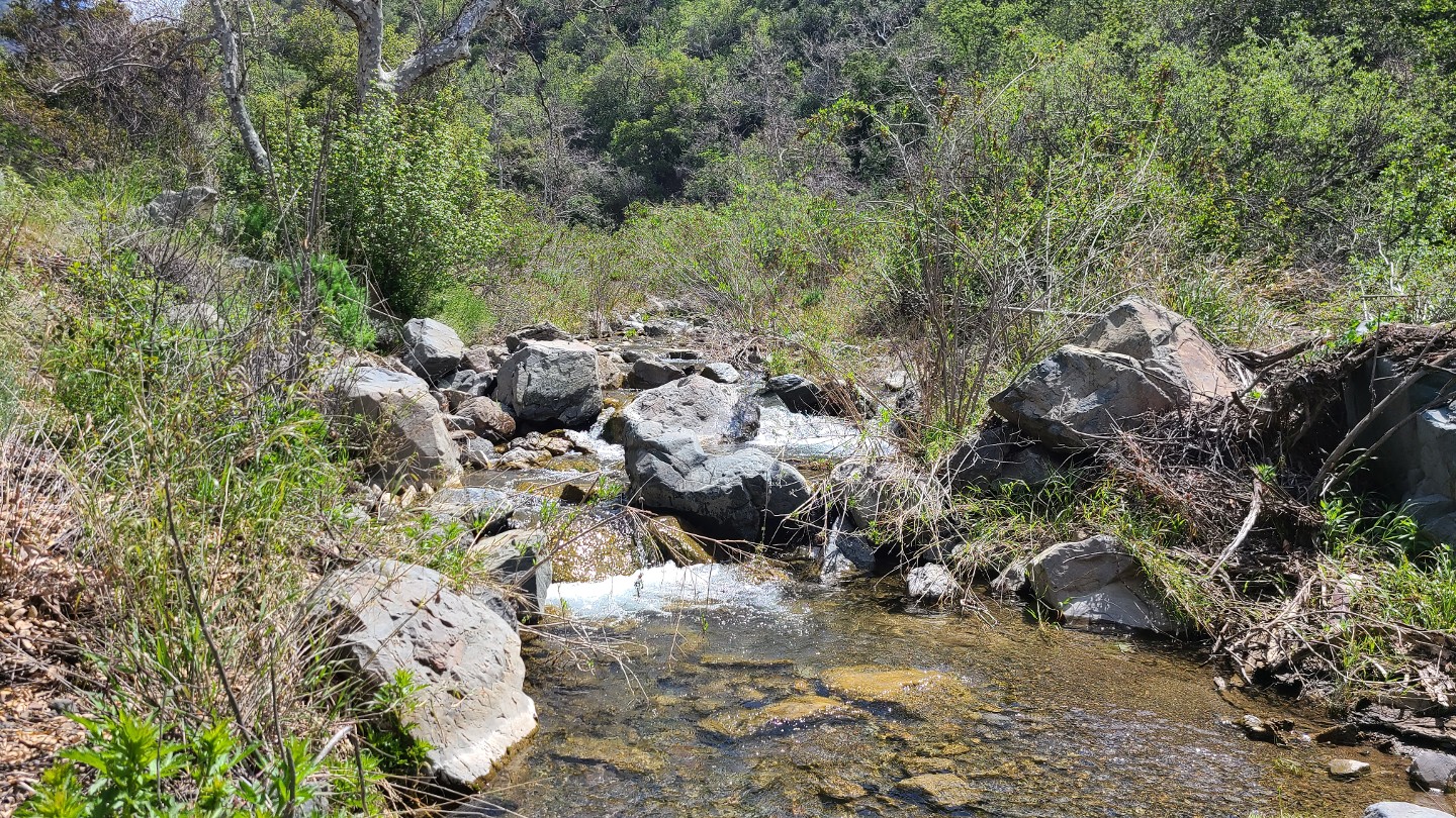 Maple Springs Road - Waypoint 7: Creek Crossing