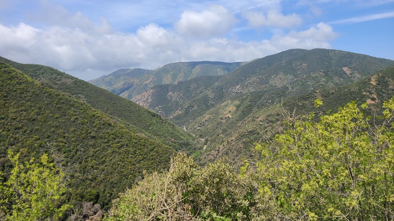 Maple Springs Road - Waypoint 14: Switchback and Hiking Trail