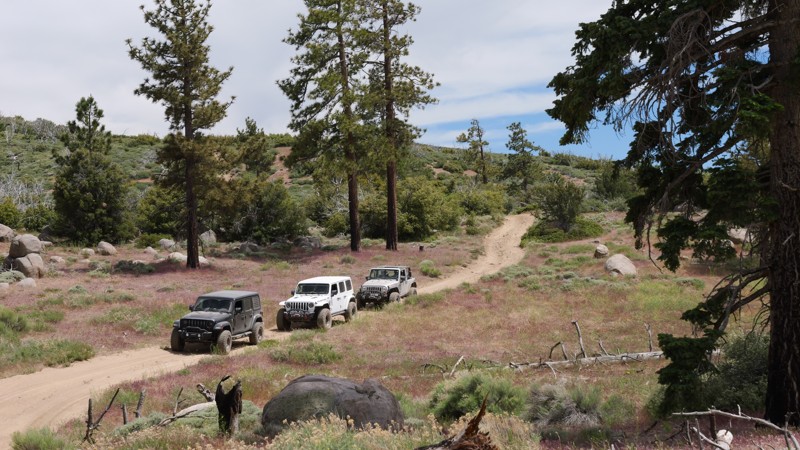 California: 3N17 - White Mountain Hero Photo