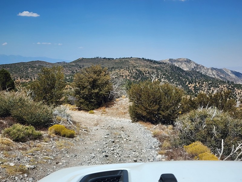 3N17 - White Mountain Trail Review Photo