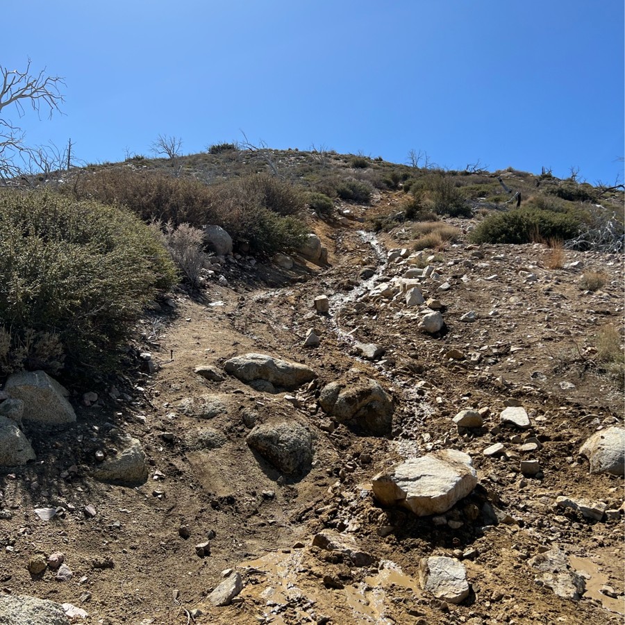Trail Review: 3N17 - White Mountain - Samuel Colon