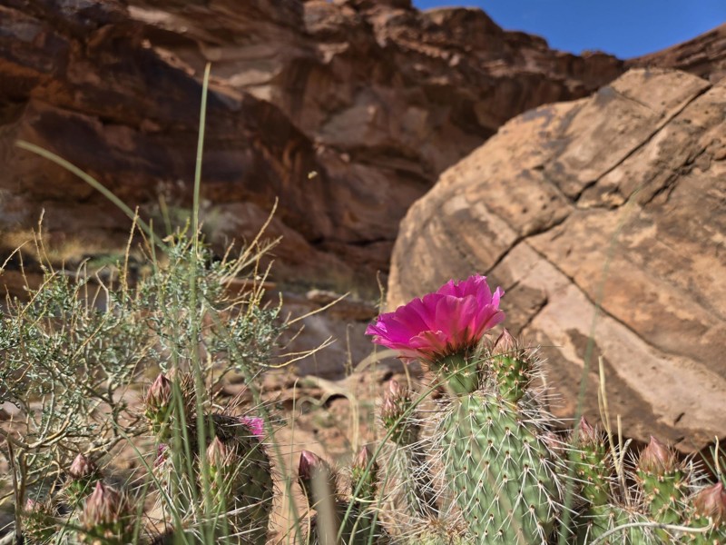 Poison Springs Trail Review Photo