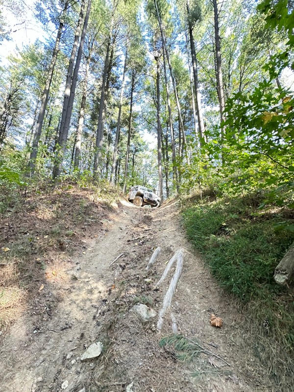 Redbird 3X Trail Review Photo