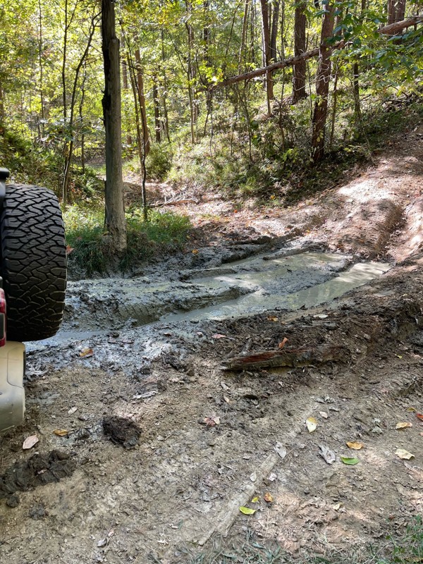 Redbird 3X Trail Review Photo