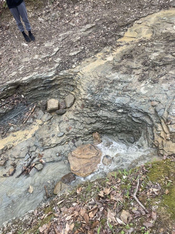 Spaas Creek Trail Review Photo
