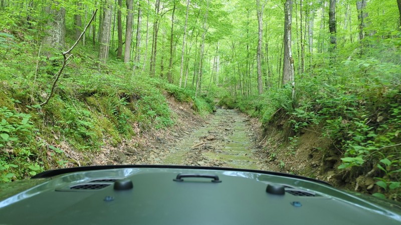 Spaas Creek Trail Review Photo