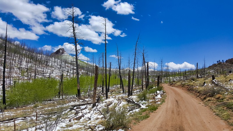 Colorado: Cedar Mountain Road Hero Photo