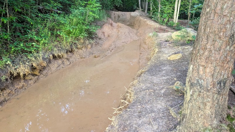 Mountain Springs Road Trail Review Photo