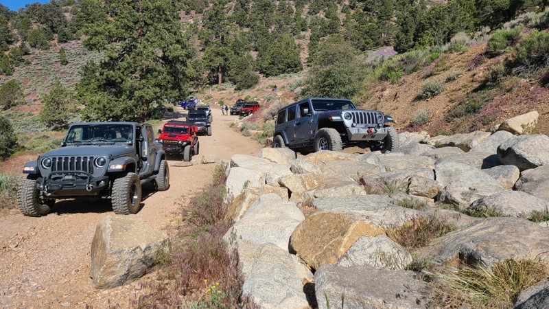 Trail Review: 3N69 – Gold Mountain - Josh Noesser