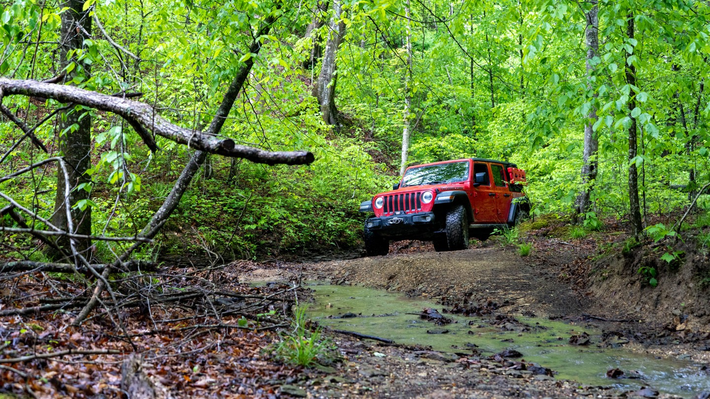 Wayne Benson Road - Best Trails