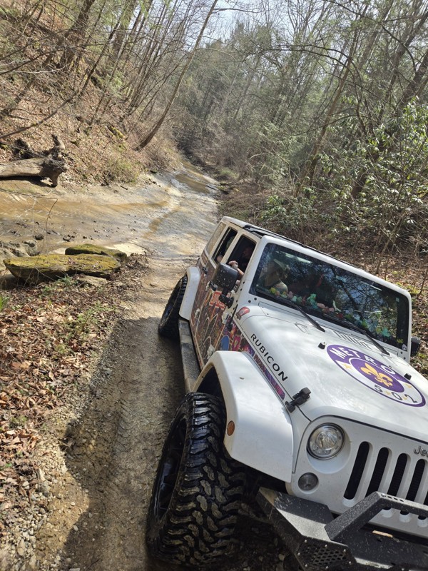 Bald Rock Fork Road Trail Review Photo