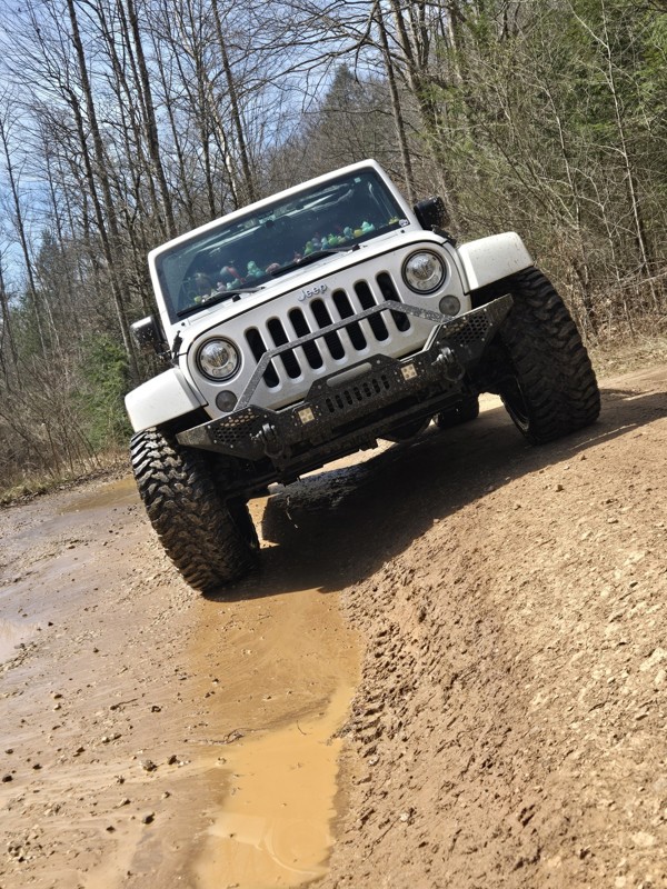 Bald Rock Fork Road Trail Review Photo