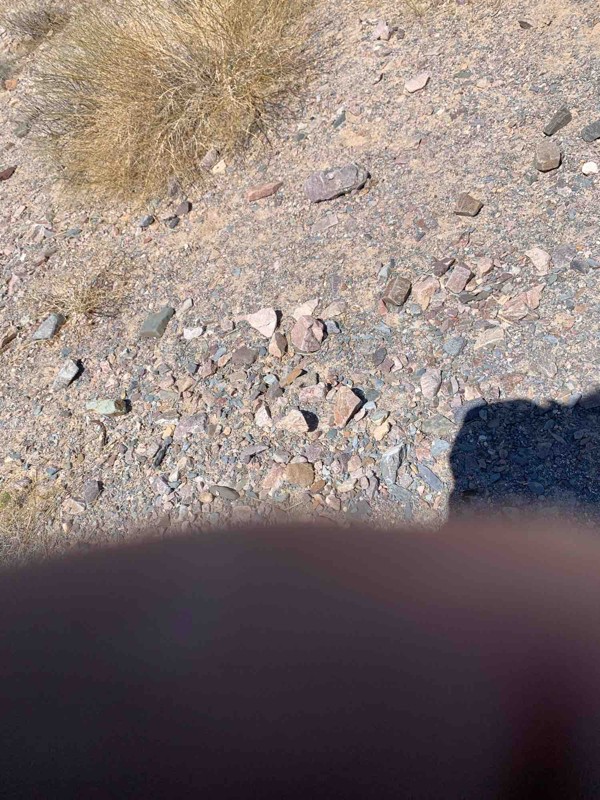 Echo Canyon Trail Trail Review Photo