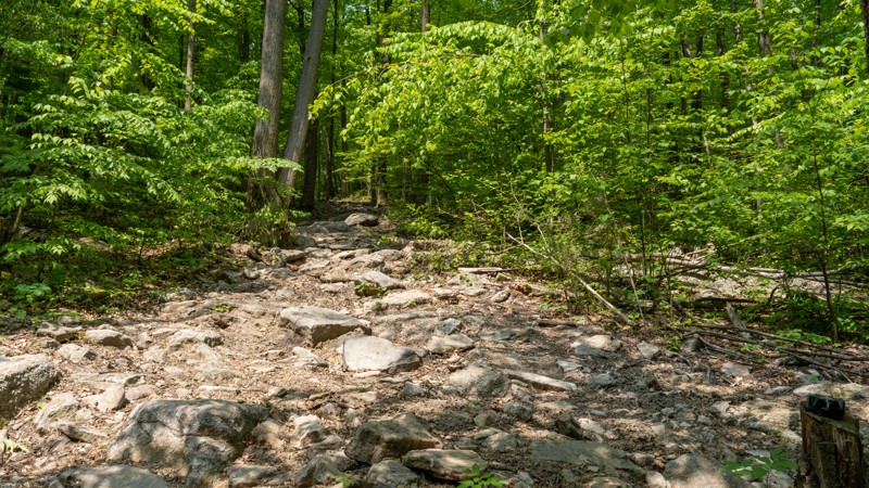 Barney Rubble - Anthracite Outdoor Adventure Area Trail Review Photo