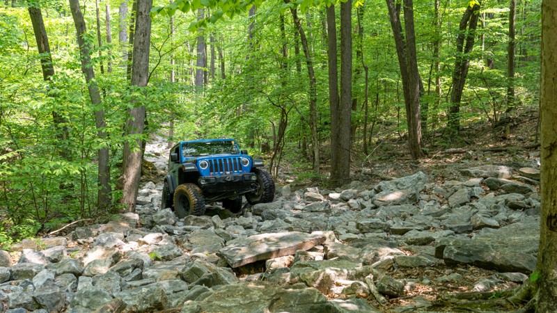 Barney Rubble - Anthracite Outdoor Adventure Area Trail Review Photo