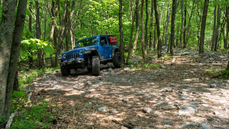 Fern Ridge - Anthracite Outdoor Adventure Area - Waypoint 7: Alternate Exit