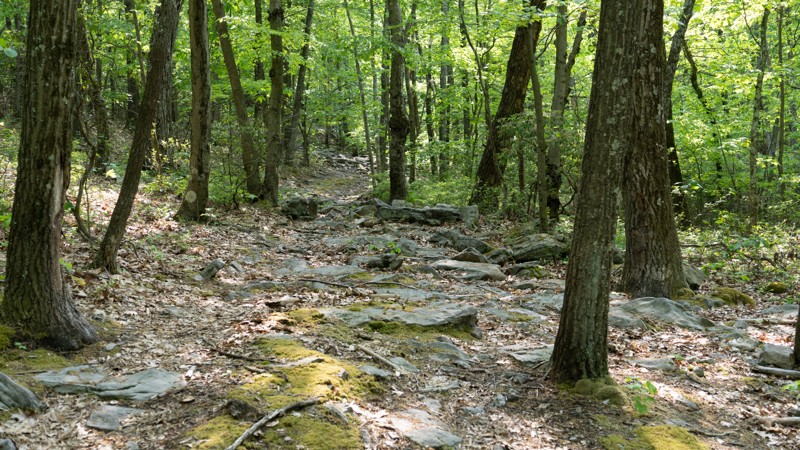 Fern Ridge - Anthracite Outdoor Adventure Area - Waypoint 16: Fourth Black Loop